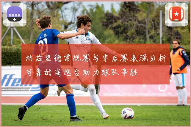 纳兹里德常规赛与季后赛表现分析可靠的高炮台助力球队争胜